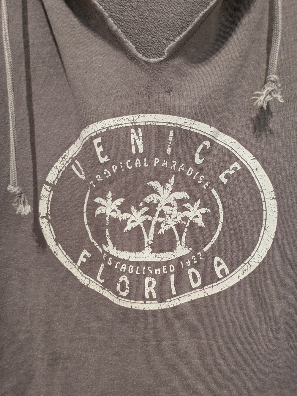 Venice Florida Charcoal Hooded Pullover Sweatshirt - Picture 3 of 4